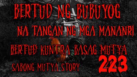 bertud ng bubuyog|Bertud ng bubuyog na secreto ng mga mabangis na sabungero .